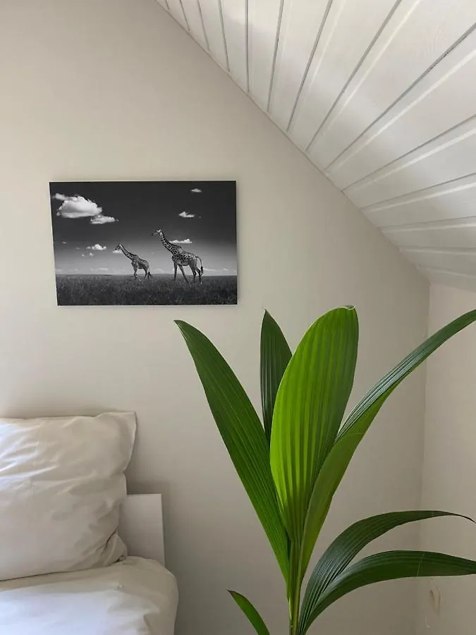 לינה וארוחת בוקר גנט B&B Maison Blanche בלגיה