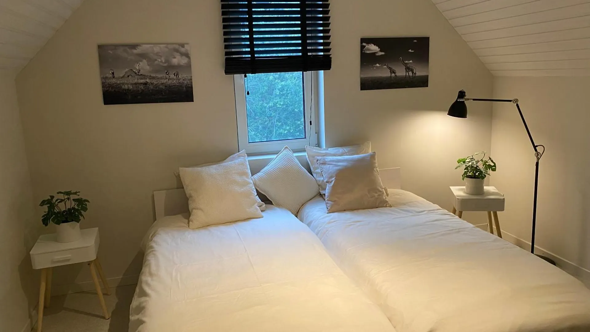 לינה וארוחת בוקר גנט B&B Maison Blanche